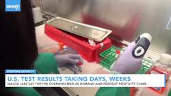 Americans Wait Days, Weeks For COVID-19 Test Results As Spread Worsens News Clip