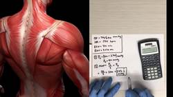 Calculating Several Cardiovascular Parameters Instructional Video