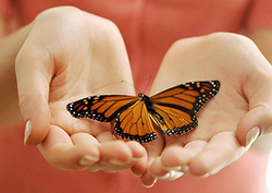 Touch - Sensory Receptors Instructional Video