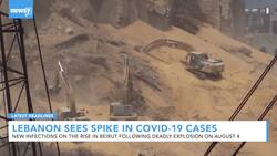 Newsy's Latest Headlines News Clip