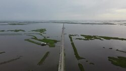 CLEAN : In Louisiana, the first US climate refugees find new safe haven News Clip