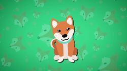 I WONDER - Are Foxes And Dogs Related? Instructional Video