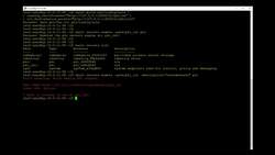 HashiCorp Certified - Vault Associate Course - Lab—PKI Secrets Engine Instructional Video