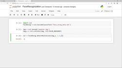 Python In Practice - 15 Projects to Master Python - Detecting Faces in Images with Our Model Instructional Video