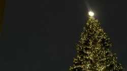 CLEAN : Vatican lights Christmas tree and Nativity scene in St. Peter's Square News Clip