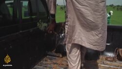 Sahel's Great Green Wall: Communities say project to plant trees is failing News Clip