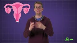 The Hymen Doesn't Tell You Anything About a Person Instructional Video