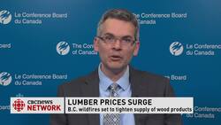 Forestry industry absorbing hits News Clip