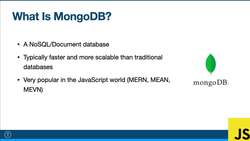 Modern JavaScript from the Beginning - Second Edition - What Is MongoDB? Instructional Video