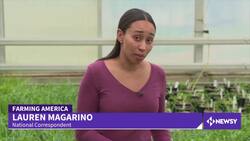 This Earth-Friendly Crop May Change Agriculture For The Better News Clip