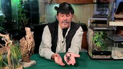 Types of Scorpions Instructional Video