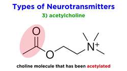 Neurotransmitters Type, Structure, and Function Instructional Video