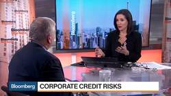 Economist Rosenberg Warns Spread Between CCC, BB Is 'Canary in Coal Mine' News Clip