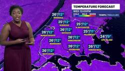 Bright, frigid and windy with highs in the upper 20s for The Bronx News Clip