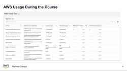 AWS Serverless Microservices with Patterns and Best Practices - AWS Cost Management During the Course Instructional Video
