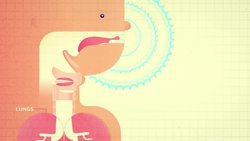 TED-Ed: Why does your voice change as you get older? - Shaylin A. Schundler Instructional Video