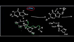 Urate Oxidase and Urate (Part 1): Physiology, Biochemistry, and Mechanism Instructional Video