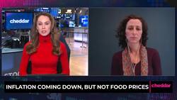 Food Prices at Their Highest Level in Decades News Clip