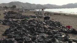 CLEAN : WRAP: Major oil spill in Peru News Clip
