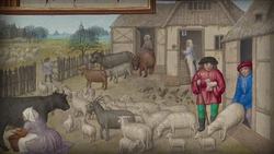 Commerce, Agriculture, and Slavery: Crash Course European History Instructional Video