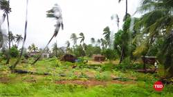 TED: To fight climate change, listen to young people | Nkosilathi Nyathi Instructional Video