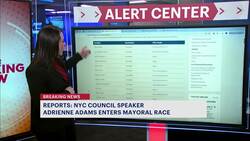 Reports: NYC Council Speaker Adrienne Adams enters mayoral race Instructional Video