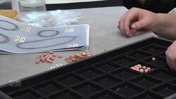 A Regina jeweler will help Canada's next Olympians to shine Instructional Video