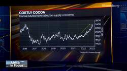 Why You Might Have to Pay More for Your Chocolate News Clip
