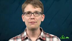 The 3 Coolest Things Built By Birds Instructional Video