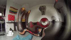 Decoding Canine Intelligence: Insights into Dogs' Cognitive Skills Instructional Video