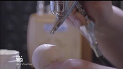 Cracking down on poaching with 3D-printed fake turtle eggs News Clip