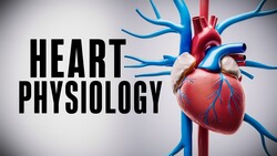 The Cardiac Cycle Simplified - What You Need to Know Instructional Video