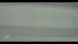 From basketball to bobsleigh: Duncan, B.C. athlete uncovers his potential News Clip