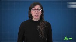 5 Things You Were Taught Wrong in Elementary School | Compilation Instructional Video