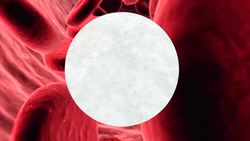 Nanosponge decoy fights superbug infections Instructional Video