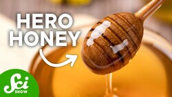 How Honey Fights Deadly Bacteria Instructional Video