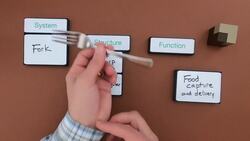 Thinking in Structure and Function - Level 1 - Structure and Function Instructional Video