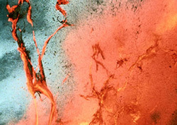 Extrusión Instructional Video