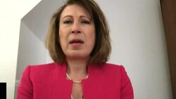 Peak may be coming in the next week or two, says Canada's chief science adviser News Clip