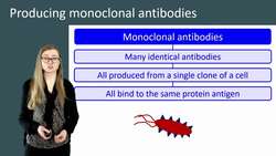 Producing Monoclonal Antibodies: From Lymphocytes to Hybridomas Instructional Video