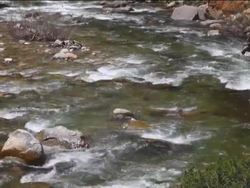 Our Precious Earth: Introduction Instructional Video