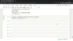 Deep Learning - Deep Neural Network for Beginners Using Python - Testing (NN Implementation) Instructional Video