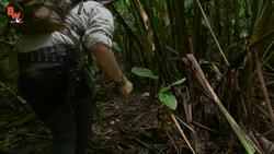 Poison Frogs in Our Backyard! Instructional Video