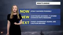 Periods of rain, cloudy skies throughout Friday in The Bronx News Clip