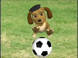 Introduction to Verbs in French Instructional Video