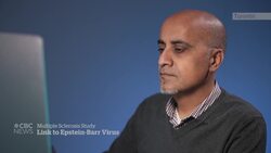 Epstein-Barr virus may trigger MS later in life, research suggests News Clip