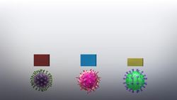 New coronavirus spreads despite Beijing’s efforts at containment
 Instructional Video