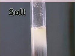 Exploring Salts and Antacids Instructional Video