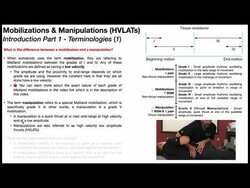 Manipulations | Introduction 🦴 Mobilizations vs Manipulations Instructional Video
