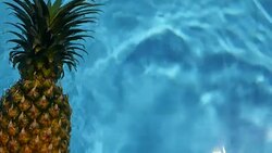 Pineapple Floating In blue Water In Swimming Pool. Healthy Raw Organic Food. Juicy Fruit. Vegetarian, Vegan Nutrition, Vitamins, Diet, summer holidays, vacation concepts. Exotic tropical background Stock Footage